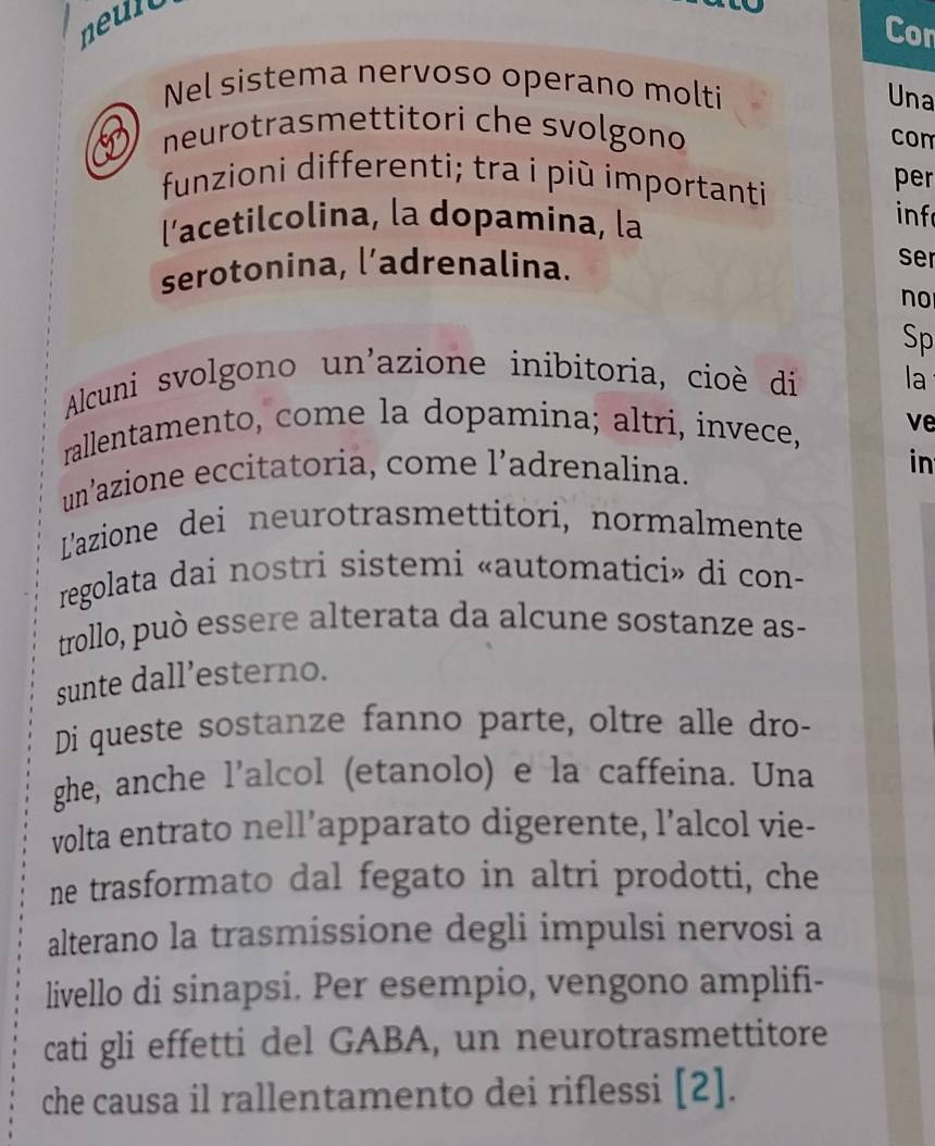 neult 
Cor 
Nel sistema nervoso operano molti 
Una 
neurotrasmettitori che svolgono con 
funzioni differenti; tra i più importanti 
per 
l'acetilcolina, la dopamina, la 
inf 
serotonina, l’adrenalina. 
ser 
no 
Sp 
Alcuni svolgono un'azione inibitoria, cioè di la 
rallentamento, come la dopamina; altri, invece, ve 
un’azione eccitatoria, come l’adrenalina. 
in 
L'azione dei neurotrasmettitori, normalmente 
regolata dai nostri sistemi «automatici» di con- 
trollo, può essere alterata da alcune sostanze as- 
sunte dall’esterno. 
Di queste sostanze fanno parte, oltre alle dro- 
ghe, anche l’alcol (etanolo) e la caffeina. Una 
volta entrato nell’apparato digerente, l’alcol vie- 
ne trasformato dal fegato in altri prodotti, che 
alterano la trasmissione degli impulsi nervosi a 
livello di sinapsi. Per esempio, vengono amplifi- 
cati gli effetti del GABA, un neurotrasmettitore 
che causa il rallentamento dei riflessi [2].