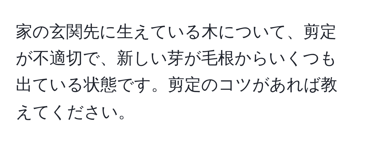 家の玄関先に生えている木について、剪定が不適切で、新しい芽が毛根からいくつも出ている状態です。剪定のコツがあれば教えてください。