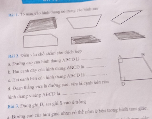 Tô màu vào hình thang có trong các hình sao 
Bài 2. Điền vào chỗ chấm cho thích hợp 
. 
a. Đường cao của hình thang ABCD là _ 
b. Hai cạnh đây của hình thang ABCD là_ 
c. Hai cạnh bên của hình thang ABCD là_ 
d. Đoạn thắng vừa là đường cao, vừa là cạnh bên của 
hình thang vuông ABCD là 
_ 
Bài 3. Đúng ghi Đ, sai ghi S vào ô trống 
a. Đường cao của tam giác nhọn có thể năm ở bên trong hình tam giác.