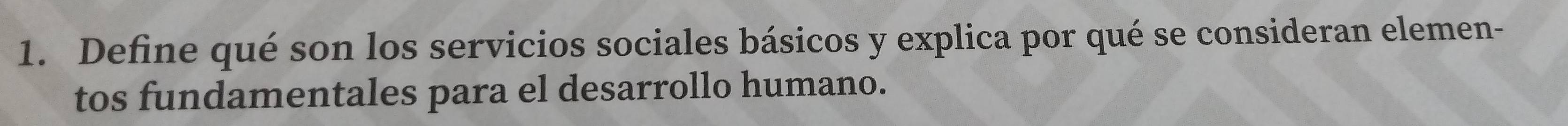 Define qué son los servicios sociales básicos y explica por qué se consideran elemen- 
tos fundamentales para el desarrollo humano.