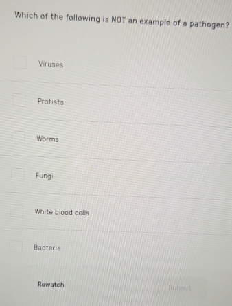 Which of the following is NOT an example of a pathogen?
Viruses
Protists
Worms
Fungi
White blood cells
Bacteria
Rewatch Sunmit