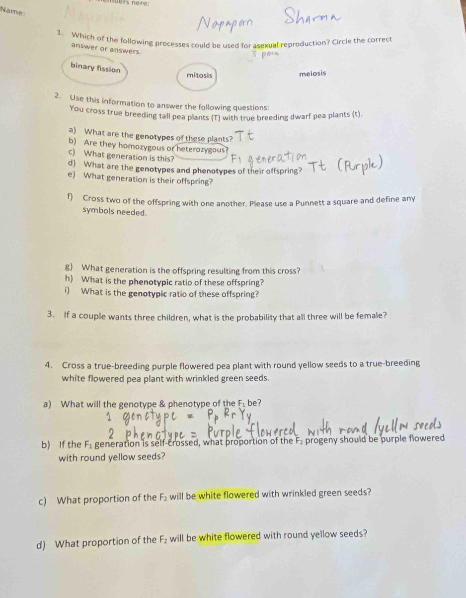 müers ner
Name
1. Which of the following processes could be used for asexual reproduction? Circle the correct
answer or answers
binary fission
mitosis meiosis
2. Use this information to answer the following questions:
You cross true breeding tall pea plants (T) with true breeding dwarf pea plants (t).
a) What are the genotypes of these plants?
b) Are they homozygous or heterozygous
c) What generation is this?
d) What are the genotypes and phenotypes of their offspring?
e) What generation is their offspring?
f) Cross two of the offspring with one another. Please use a Punnett a square and define any
symbols needed.
g) What generation is the offspring resulting from this cross?
h) What is the phenotypic ratio of these offspring?
i) What is the genotypic ratio of these offspring?
3. If a couple wants three children, what is the probability that all three will be female?
4. Cross a true-breeding purple flowered pea plant with round yellow seeds to a true-breeding
white flowered pea plant with wrinkled green seeds.
a) What will the genotype & phenotype of the F_1 be?
1
b) If the F_1 generation is self-crossed, what proportion of the F₂ progeny should be purple flowered
with round yellow seeds?
c) What proportion of the F_2 will be white flowered with wrinkled green seeds?
d) What proportion of the F_2 will be white flowered with round yellow seeds?