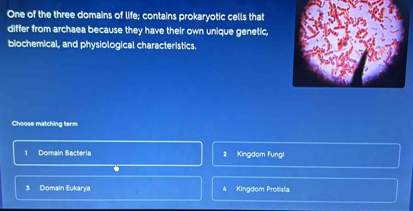 One of the three domains of life; contains prokaryotic cells that
differ from archaea because they have their own unique genetic,
biochemical, and physiological characteristics.
Choose matching term
1 Domain Bacteria 2 Kingdom Fungi
3 Domain Eukarya 4 Kingdom Protista