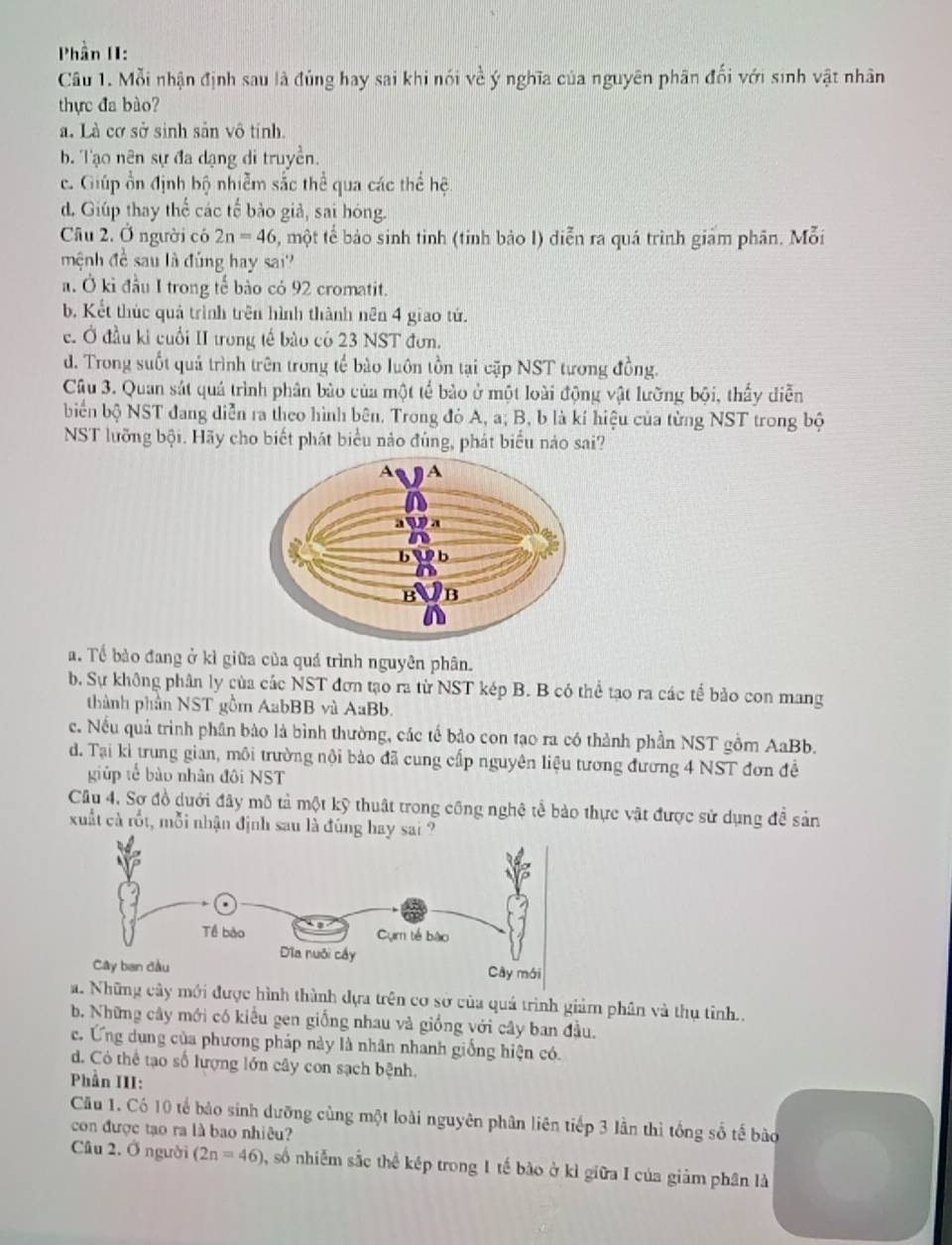 Phần II:
Câu 1. Mỗi nhận định sau là đủng hay sai khi nói về ý nghĩa của nguyên phân đối với sinh vật nhân
thực đa bào?
a. Là cơ sở sinh sản vô tính.
b. Tạo nên sự đa dạng di truyền.
c. Giúp ổn định bộ nhiễm sắc thể qua các thể hệ
d. Giúp thay thế các tế bảo giả, sai hóng.
Câu 2. Ở người có 2n=46 1, một tế bảo sinh tinh (tinh bảo I) diễn ra quá trình giam phân. Mỗi
mệnh đề sau là đúng hay sai'
a. Ở kỉ đầu I trong tế bảo có 92 cromatit.
b. Kết thúc quả trình trên hình thành nên 4 giao tứ.
e. Ở đầu ki cuối II trong tế bào có 23 NST đơn.
d. Trong suốt quả trình trên trong tế bào luôn tồn tại cặp NST tương đồng.
Cầu 3. Quan sát quả trình phân bảo của một tể bào ở một loài động vật lưỡng bội, thấy diễn
biển bộ NST đang diễn ra theo hình bên. Trong đỏ A, a; B, b là kí hiệu của từng NST trong bộ
NST lưỡng bội. Hãy cho biết phát biểu nảo đúng, phát biểu nào sai?
a. Tế bảo đang ở kì giữa của quá trình nguyên phân.
b. Sự không phân ly của các NST đơn tạo ra từ NST kép B. B có thể tạo ra các tể bảo con mang
thành phần NST gồm AabBB và AaBb.
c. Nếu quả trình phân bào là bình thường, các tế bảo con tạo ra có thành phần NST gồm AaBb.
d. Tại kỉ trung gian, môi trường nội bào đã cung cấp nguyên liệu tương đương 4 NST đơn đề
giúp tế bào nhân đôi NST
Cầu 4, Sơ đồ dưới đây mô tả một kỹ thuật trong công nghệ tế bảo thực vật được sử dụng đề sản
xuất cà rốt, mỗi nhận định sau là đú
ình thành dựa trên cơ sở của quá trình giảm phân và thụ tỉnh..
b. Những cây mới có kiểu gen giống nhau và giống với cây ban đầu.
c. Ứng dụng của phương pháp này là nhân nhanh giống hiện có.
d. Có thể tạo số lượng lớn cây con sạch bệnh.
Phần III:
Cu 1. Có 10 tế bảo sinh dưỡng cùng một loài nguyên phân liên tiếp 3 lần thì tổng số tế bào
con được tạo ra là bao nhiêu?
Cầâu 2. Ở người (2n=46) , số nhiễm sắc thể kép trong 1 tế bào ở kỉ giữa I của giảm phân là