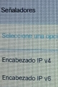 Señaladores
Seleccione una opc
Encabezado IPv4
Encabezado IP v6