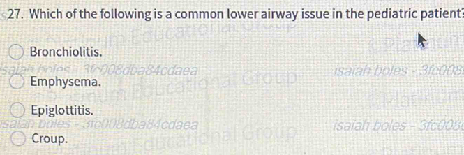 Which of the following is a common lower airway issue in the pediatric patient?
Bronchiolitis.
isaiah boles - 3fc008
Emphysema.
Epiglottitis.
isaiah boles - 3fc008
Croup.