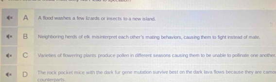 A A flood washes a few lizards or insects to a new island.
B Neighboring herds of elk misinterpret each other's mating behaviors, causing them to fight instead of mate.
C Varieties of flowering plants produce pollen in different seasons causing them to be unable to pollinate one another
D The rock pocket mice with the dark fur gene mutation survive best on the dark lava flows because they are camo
counterparts.