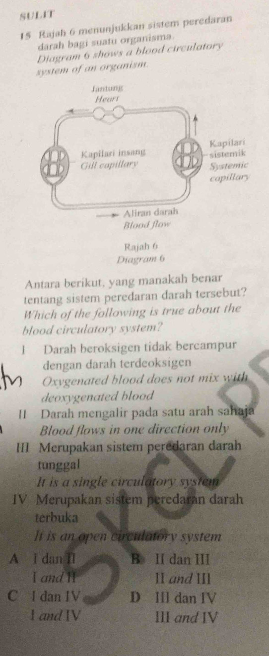 SULIT
15 Rajah 6 menunjukkan sistem peredaran
darah bagi suatu organisma.
Diagram 6 shows a blood circulatory
system of an organism.
Rajah 6
Diagram 6
Antara berikut, yang manakah benar
tentang sistem peredaran darah tersebut?
Which of the following is true about the
blood circulatory system?
I Darah beroksigen tidak bercampur
dengan darah terdeoksigen
Oxygenated blood does not mix with
deoxygenated blood
II Darah mengalir pada satu arah sahaja
Blood flows in one direction only
III Merupakan sistem peredaran darah
tunggal
It is a single circulatory system
IV Merupakan sistem peredaran darah
terbuka
It is an open circulatory system
A I dan II B. II dan III
I and H 1I and II
C I dan IV D IIl dan IV
1 and IV III and IV