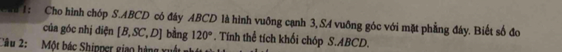 Cai 1: Cho hình chóp S. ABCD có đáy ABCD là hình vuông cạnh 3, SA vuông góc với mặt phẳng đáy. Biết số đo 
của góc nhị diện [B,SC,D] bằng 120°. Tính thể tích khối chóp S. ABCD. 
Câu 2: Một bác Shipper giao hàng x