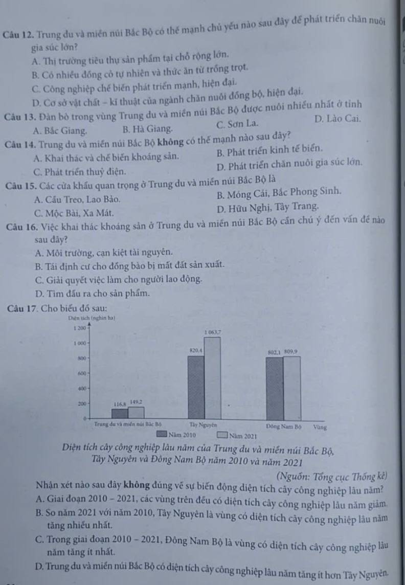 Trung du và miền núi Bắc Bộ có thế mạnh chủ yếu nào sau đây để phát triển chăn nuôi
gia súc lớn?
A. Thị trường tiều thụ sản phẩm tại chỗ rộng lớn.
B. Có nhiều đồng cỏ tự nhiên và thức ăn từ trồng trọt.
C. Công nghiệp chế biến phát triển mạnh, hiện đại.
D. Cơ sở vật chất - kĩ thuật của ngành chăn nuôi đồng bộ, hiện đại.
Câu 13. Đàn bò trong vùng Trung du và miền núi Bắc Bộ được nuôi nhiều nhất ở tỉnh
A. Bắc Giang. B. Hà Giang. C. Sơn La.
D. Lào Cai.
Câu 14. Trung du và miền núi Bắc Bộ không có thế mạnh nào sau đãy?
A. Khai thác và chế biến khoáng sản. B. Phát triển kinh tế biển.
C. Phát triển thuỷ điện. D. Phát triển chăn nuôi gia súc lớn.
Câu 15. Các cửa khẩu quan trọng ở Trung du và miền núi Bắc Bộ là
A. Cầu Treo, Lao Bảo. B. Móng Cái, Bắc Phong Sinh.
C. Mộc Bài, Xa Mát. D. Hữu Nghị, Tây Trang.
Câu 16. Việc khai thác khoáng sản ở Trung du và miền núi Bắc Bộ cần chú ý đến vấn đề nào
sau dãy?
A. Môi trường, cạn kiệt tài nguyên.
B. Tái định cư cho đồng bào bị mất đất sản xuất.
C. Giải quyết việc làm cho người lao động.
D. Tìm đấu ra cho sản phẩm.
Câu 17. Cho biểu đồ sau:
Diện tích cây công nghiệp lâu năm của Trung du và miền núi Bắc Bộ,
Tây Nguyên và Đông Nam Bộ năm 2010 và năm 2021
(Nguồn: Tổng cục Thống kê)
Nhận xét nào sau đây không đúng về sự biến động diện tích cây công nghiệp lâu năm?
A. Giai đoạn 2010 - 2021, các vùng trên đều có diện tích cây công nghiệp lâu năm giảm
B. So năm 2021 với năm 2010, Tây Nguyên là vùng có diện tích cây công nghiệp lâu năm
tăng nhiếu nhất.
C. Trong giai đoạn 2010 - 2021, Đông Nam Bộ là vùng có diện tích cây công nghiệp lâu
năm tăng ít nhất.
D. Trung du và miền núi Bắc Bộ có diện tích cây công nghiệp lâu năm tăng ít hơn Tây Nguyên.