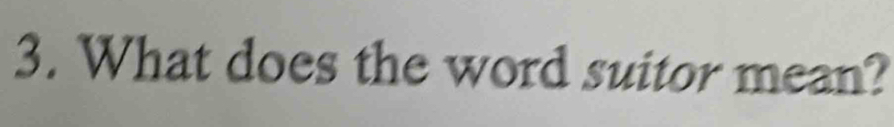 What does the word suitor mean?