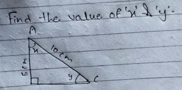 Find the value of ViM'y.