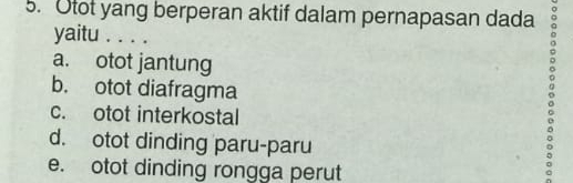 Otot yang berperan aktif dalam pernapasan dada
yaitu . . . .
a. otot jantung
b. otot diafragma
c. otot interkostal
d. otot dinding paru-paru
e. otot dinding rongga perut