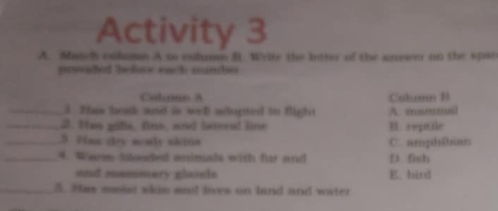 Activity 3
A. Matclh olumn A so culum B. Write the letter of the answo on the spac
providef before each munhe
Colemn A Coln B
_3. Thas heak ad is well adupted to flight A. maσml
_2. Has gifls, fins, and lateral line B. reptile
_9. Pins dry monly slion C. amphibian
_4. Weve Slooded enimals with far and D. fish
end mammary glamls E. bird
_5. Has moist skin and lives on land and water