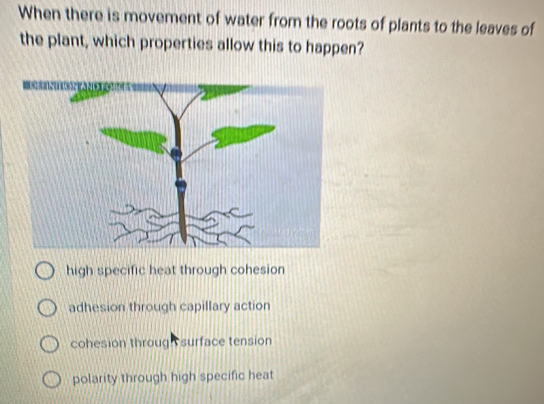 When there is movement of water from the roots of plants to the leaves of
the plant, which properties allow this to happen?
high specific heat through cohesion
adhesion through capillary action
cohesion throug surface tension
polarity through high specific heat