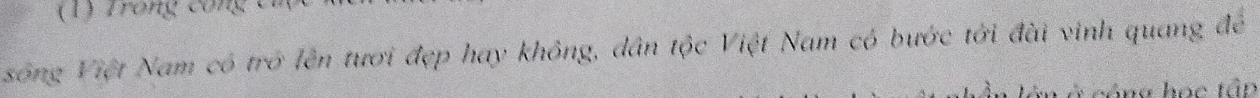 (1) Trong cong 
sông Việt Nam có trở lên tươi đẹp hay không, dân tộc Việt Nam có bước tới đài vinh quang đẻ 
* n hva hae tân