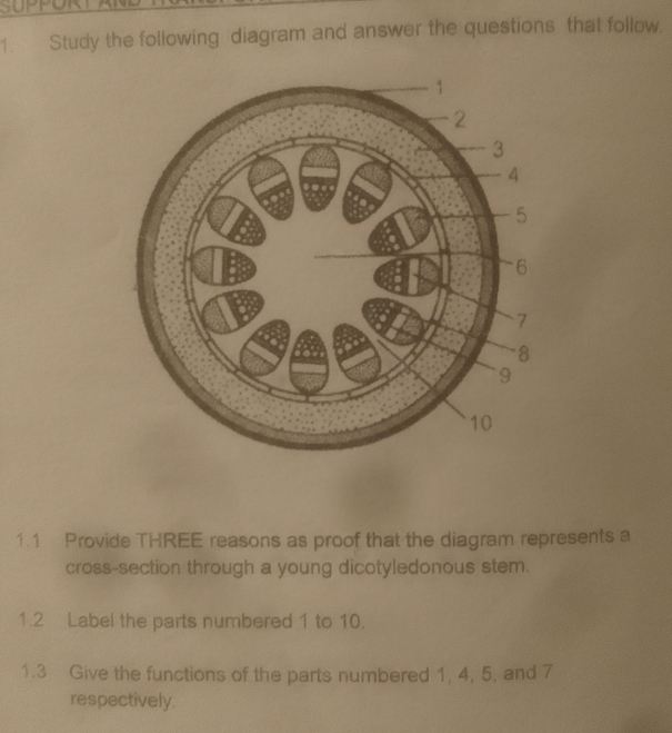 Study the following diagram and answer the questions that follow. 
1.1 Provide THREE reasons as proof that the diagram represents a 
cross-section through a young dicotyledonous stem. 
1.2 Label the parts numbered 1 to 10. 
1.3 Give the functions of the parts numbered 1, 4, 5, and 7
respectively.