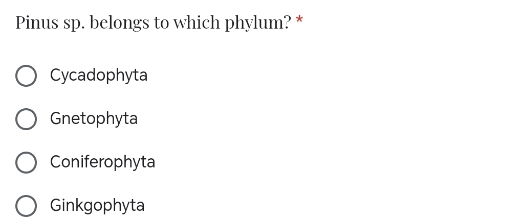 Pinus sp. belongs to which phylum? *
Cycadophyta
Gnetophyta
Coniferophyta
Ginkgophyta