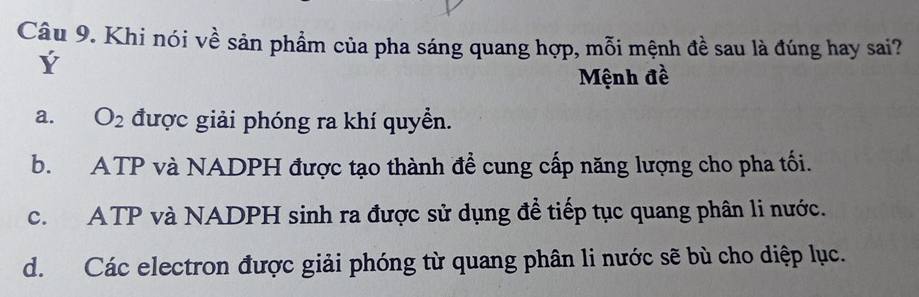 Khi nói về sản phẩm của pha sáng quang hợp, mỗi mệnh đề sau là đúng hay sai?
Mệnh đề
a. O_2 được giải phóng ra khí quyền.
b. ATP và NADPH được tạo thành đề cung cấp năng lượng cho pha tối.
c. ATP và NADPH sinh ra được sử dụng để tiếp tục quang phân li nước.
d. Các electron được giải phóng từ quang phân li nước sẽ bù cho diệp lục.