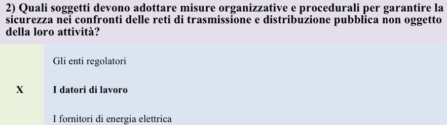 Quali soggetti devono adottare misure organizzative e procedurali per garantire la
sicurezza nei confronti delle reti di trasmissione e distribuzione pubblica non oggetto
della loro attività?
Gli enti regolatori
X I datori di lavoro
I fornitori di energia elettrica