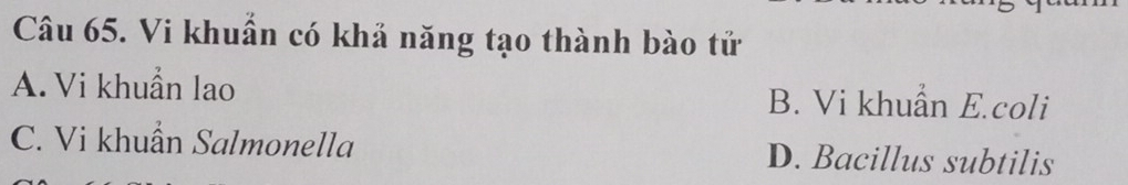 Vi khuẩn có khả năng tạo thành bào tử
A. Vi khuẩn lao B. Vi khuẩn E.coli
C. Vi khuẩn Salmonella D. Bacillus subtilis