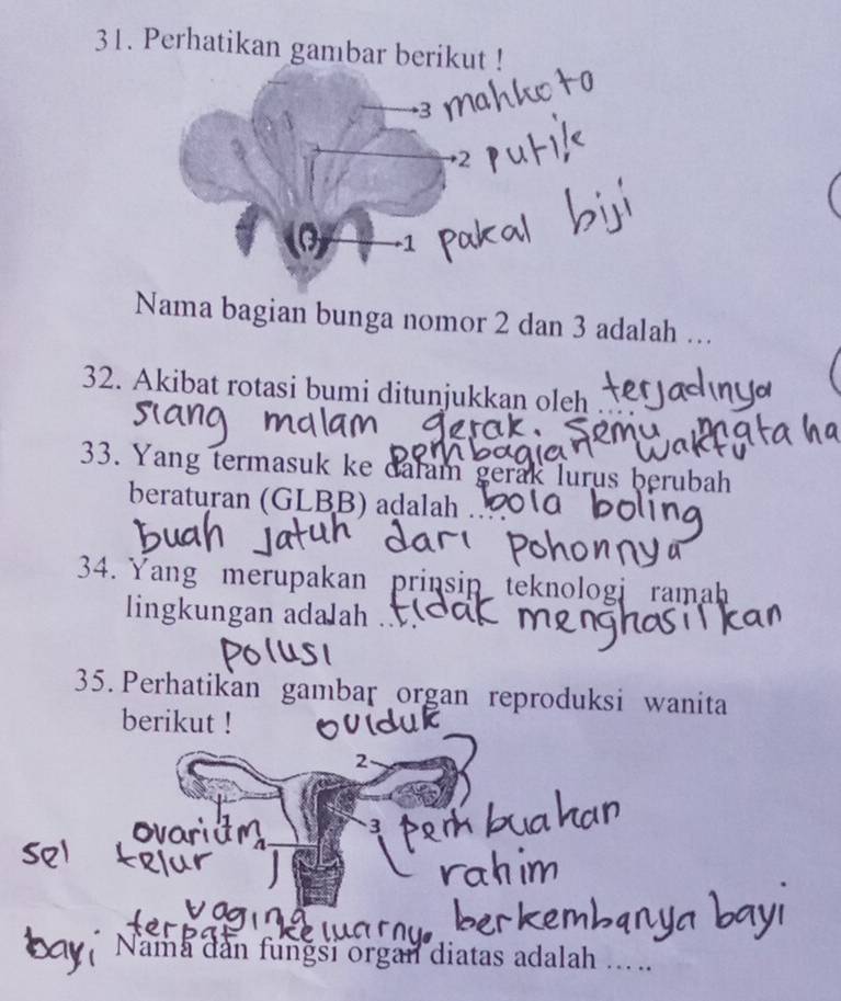 Perhatikan gambar berikut !
3
+ 2
1 
Nama bagian bunga nomor 2 dan 3 adalah ... 
32. Akibat rotasi bumi ditunjukkan oleh 
33. Yang termasuk ke dalam gerak lurus berubah 
beraturan (GLBB) aḍalah 
34. Yang merupakan prinsip teknologi ramah 
lingkungan adalah . 
35. Perhatikan gambar organ reproduksi wanita 
berikut ! 
2 
3 
Nama dan fungsi organ diatas adalah ….