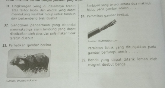 Dok Denkut gengan jawaban yang repa 
31. Lingkungan yang di dalamnya terdiri Simbiosis yang terjadi antara dua makhluk .... 
atas faktor biotik dan abiotik yang dapat 
mendukung makhluk hidup untuk tumbuh hidup pada gambar adalah 
dan berkembang biak disebut 。.。 34. Perhatikan gambar berikut. 
32. Gangguan pencernaan yang ditandai 
meningkatnya asam lambung yang dapat 
diakibatkan oleh stres dan pola makan tidak 
teratur disebut . . 。 
33. Perhatikan gambar berikut. Sumber: shutterstock.com 
Peralatan listrik yang ditunjukkan pada 
gambar berfungsi untuk 
35. Benda yang dapat ditarik lemah oleh 
magnet disebut benda 。 。 。 . 
Sumber: shutterstack.com