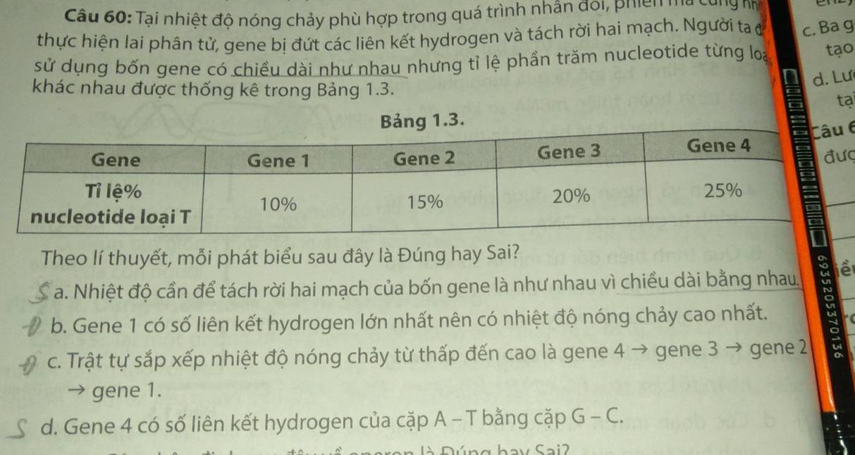 Tại nhiệt độ nóng chảy phù hợp trong quá trình nhân đoi, phiên ma cũng m em
thực hiện lai phân tử, gene bị đứt các liên kết hydrogen và tách rời hai mạch. Người ta đ c. Ba g
sử dụng bốn gene có chiều dài như nhau nhưng tỉ lệ phần trăm nucleotide từng loai tạo
d. Lư
khác nhau được thống kê trong Bảng 1.3. tại
Bảng 1.3.
6
c
Theo lí thuyết, mỗi phát biểu sau đây là Đúng hay Sai?
a. Nhiệt độ cần để tách rời hai mạch của bốn gene là như nhau vì chiều dài bằng nhau. : iề
b. Gene 1 có số liên kết hydrogen lớn nhất nên có nhiệt độ nóng chảy cao nhất.
c. Trật tự sắp xếp nhiệt độ nóng chảy từ thấp đến cao là gene 4 → gene 3 → gene 2
→ gene 1.
d. Gene 4 có số liên kết hydrogen của cặp A - T bằng cặp G - C.