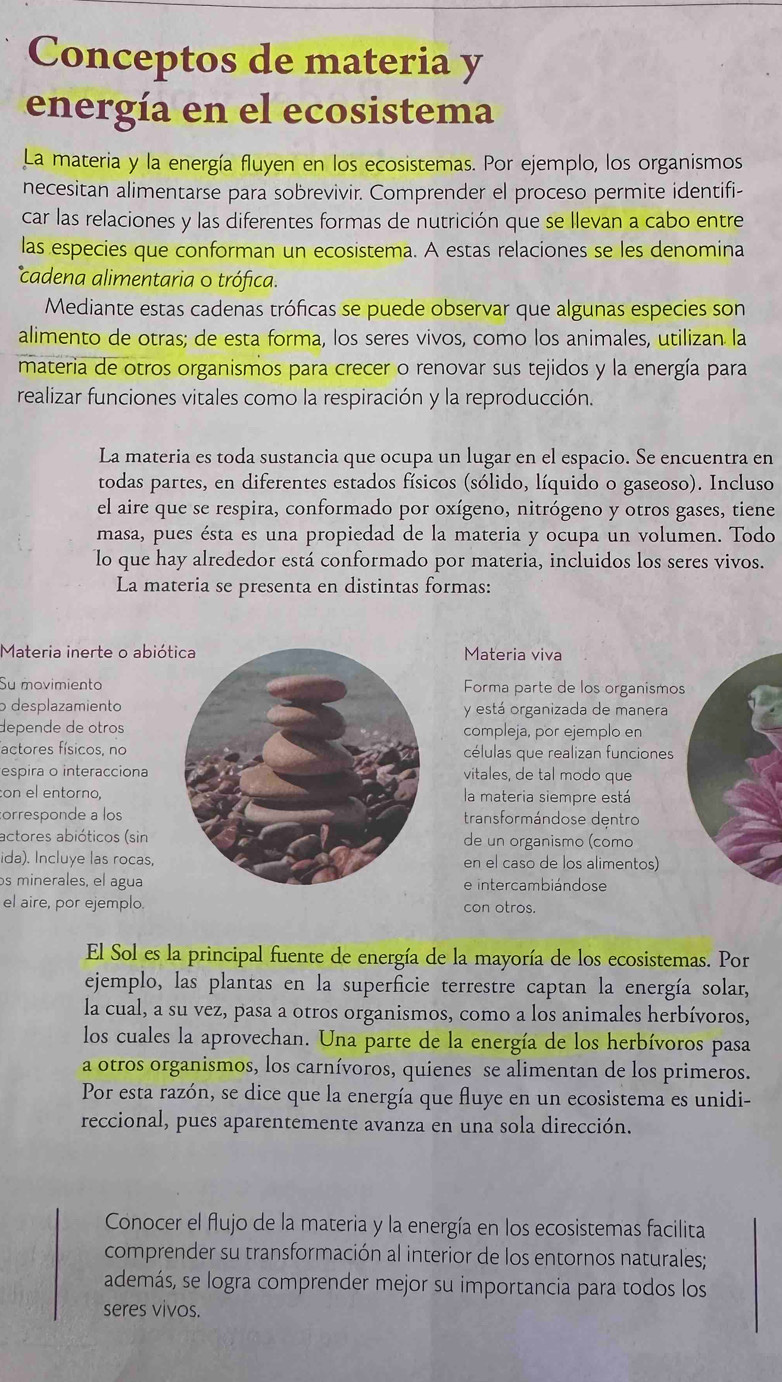 Conceptos de materia y
energía en el ecosistema
La materia y la energía fluyen en los ecosistemas. Por ejemplo, los organismos
necesitan alimentarse para sobrevivir. Comprender el proceso permite identifi-
car las relaciones y las diferentes formas de nutrición que se llevan a cabo entre
las especies que conforman un ecosistema. A estas relaciones se les denomina
cadena alimentaria o trófica.
Mediante estas cadenas tróficas se puede observar que algunas especies son
alimento de otras; de esta forma, los seres vivos, como los animales, utilizan la
materia de otros organismos para crecer o renovar sus tejidos y la energía para
realizar funciones vitales como la respiración y la reproducción.
La materia es toda sustancia que ocupa un lugar en el espacio. Se encuentra en
todas partes, en diferentes estados físicos (sólido, líquido o gaseoso). Incluso
el aire que se respira, conformado por oxígeno, nitrógeno y otros gases, tiene
masa, pues ésta es una propiedad de la materia y ocupa un volumen. Todo
lo que hay alrededor está conformado por materia, incluidos los seres vivos.
La materia se presenta en distintas formas:
Materia inerte o abióMateria viva
Su movimiento Forma parte de los organismos
o desplazamiento y está organizada de manera
depende de otroscompleja, por ejemplo en
factores físicos, nocélulas que realizan funciones
espira o interaccionavitales, de tal modo que
on el entorno, la materia siempre está
orresponde a lostransformándose dentro
actores abióticos (sinde un organismo (como
ida). Incluye las rocas, en el caso de los alimentos)
os minerales, el aguae intercambiándose
el aire, por ejemplo con otros.
El Sol es la principal fuente de energía de la mayoría de los ecosistemas. Por
ejemplo, las plantas en la superficie terrestre captan la energía solar,
la cual, a su vez, pasa a otros organismos, como a los animales herbívoros,
los cuales la aprovechan. Una parte de la energía de los herbívoros pasa
a otros organismos, los carnívoros, quienes se alimentan de los primeros.
Por esta razón, se dice que la energía que fluye en un ecosistema es unidi-
reccional, pues aparentemente avanza en una sola dirección.
Conocer el flujo de la materia y la energía en los ecosistemas facilita
comprender su transformación al interior de los entornos naturales;
además, se logra comprender mejor su importancia para todos los
seres vivos.