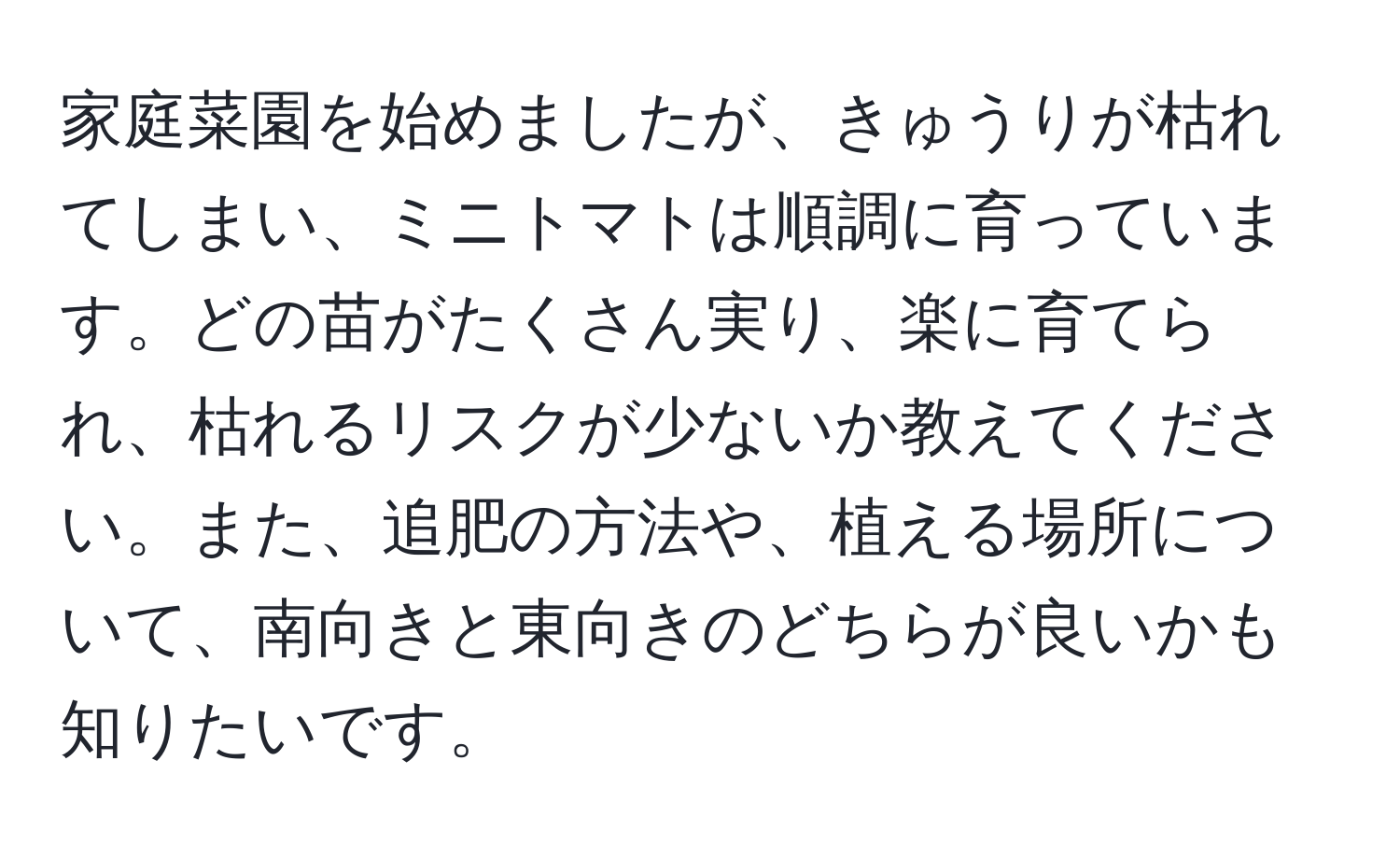 家庭菜園を始めましたが、きゅうりが枯れてしまい、ミニトマトは順調に育っています。どの苗がたくさん実り、楽に育てられ、枯れるリスクが少ないか教えてください。また、追肥の方法や、植える場所について、南向きと東向きのどちらが良いかも知りたいです。