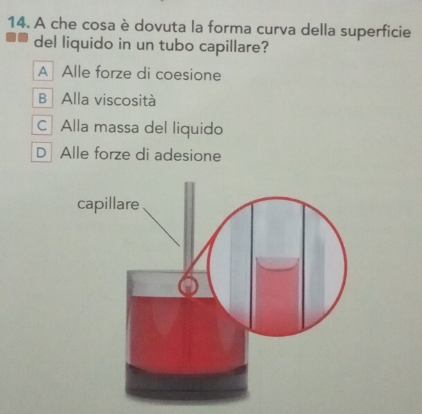 A che cosa è dovuta la forma curva della superficie
del liquido in un tubo capillare?
A Alle forze di coesione
B Alla viscosità
C Alla massa del liquido
D Alle forze di adesione