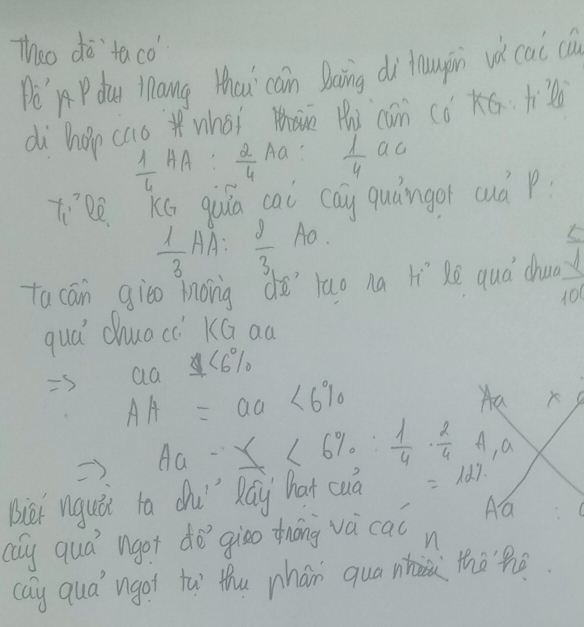 Theo do`taco
Pe' P duy Mnang Hhaui cain Daing dì hupin vù cai can)
dì hop caswhoi Hi cam co éti
 1/4 AA: 2/4 Aa  1/4 ac
T[le Kó qua cai cay quǎngor cuà p
 1/3 AA: 2/3 AO
ta can giāo hong dà `lao na lí Rē quá chua  (-1)/100 
quá chuocc KG aa
(6%
AH=aa<6%
Ha
Aa - ≤ <6% : 1/4 ·  2/4  A, a
Biei nguǎi ra dhu" Ráy hat cua =12%
Aa
caly qud' ngot do`giao zhōng và cal n
cay qua' ngor ta thu phán qua n thohe