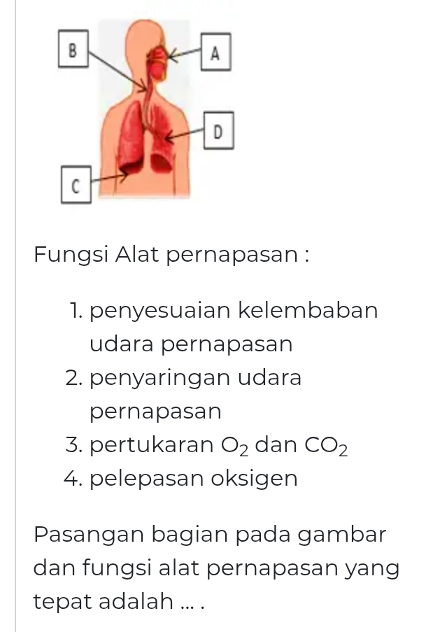 Fungsi Alat pernapasan : 
1. penyesuaian kelembaban 
udara pernapasan 
2. penyaringan udara 
pernapasan 
3. pertukaran O_2 dan CO_2
4. pelepasan oksigen 
Pasangan bagian pada gambar 
dan fungsi alat pernapasan yang 
tepat adalah ... .