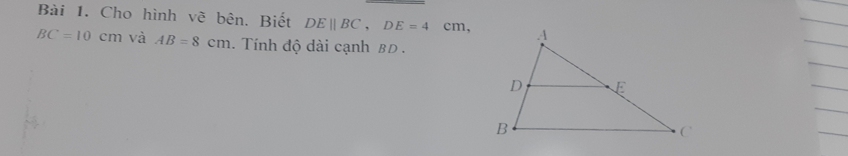 Cho hình vẽ bên. Biết DEparallel BC, DE=4cm,
BC=10cm và AB=8cm. Tính độ dài cạnh BD.