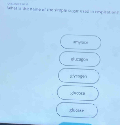 OF 10
What is the name of the simple sugar used in respiration?
amylase
glucagon
glycogen
glucose
glucase