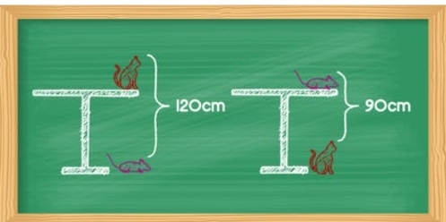 I2Ocm 90cm
a