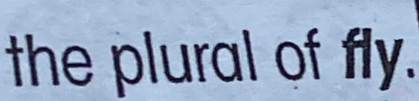 the plural of fly.