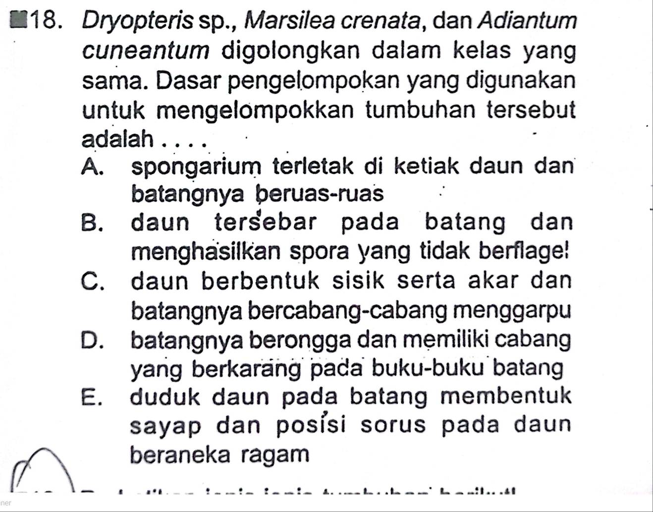 Dryopteris sp., Marsilea crenata, dan Adiantum
cuneantum digolongkan dalam kelas yang
sama. Dasar pengelompokan yang digunakan
untuk mengelompokkan tumbuhan tersebut 
adalah . . . .
A. spongarium terletak di ketiak daun dan
batangnya beruas-ruas
B. daun tersebar pada batang dan
menghasilkan spora yang tidak berflage!
C. daun berbentuk sisik serta akar dan
batangnya bercabang-cabang menggarpu
D. batangnya berongga dan memiliki cabang
yang berkarang pada buku-buku batan
E. duduk daun pada batang membentuk
sayap dan posisi sorus pada daun 
beraneka ragam
ner