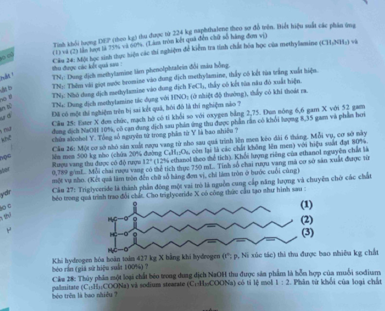 Tinh khổi lượng DEP (theo kg) thu được từ 224 kg naphthalene theo sơ đồ trên. Biết hiệu suất các phản ứng
a0 củ (1) và (2) lần lượt là 75% và 60%. (Làm tròn kết quả đến chữ số hàng đơn vị)
Cầu 24: Một học sinh thực hiện các thí nghiệm để kiểm tra tính chất hóa học của methylamine (CH_3NH_2) và
thu được các kết quá sau :
hát 1
TN:: Dung dịch methylamine làm phenolphtalein đổi màu hồng.
lất b TN:: Thêm vài giọt nước bromine vào dung dịch methylamine, thấy có kết tùa trắng xuất hiện.
no t  TN): Nhỏ dung dịch methylamine vào dung dịch FeCl₃, thấy có kết tủa nâu đỏ xuất hiện.
In tỷ  TN₄: Dung dịch methylamine tác dụng với HNO_2 (ở nhiệt độ thường), thấy có khí thoát ra.
ư d Đã có một thī nghiệm trên bị sai kết quả, hỏi đó là thí nghiệm nào ?
Câu 25: Ester X đơn chức, mạch hở có tỉ khối so với oxygen bằng 2,75. Đun nóng 6,6 gam X với 52 gam
1 ∩ư dung dịch NaOH 10%, cô cạn dung dịch sau phản ứng thu được phần rấn có khối lượng 8,35 gam và phần hơi
khể chữa alcohol Y. Tổng số nguyên tử trong phân từ Y là bao nhiêu ?
Cầu 26: Một cơ sở nhỏ sản xuất nượu vang từ nho sau quá trình lên men kéo dài 6 tháng. Mỗi vụ, cơ sở này
học lên men 500 kg nho (chứa 20% đường C_6H_12O_6 còn lại là các chất không lên men) với hiệu suất đạt 80%.
Rượu vang thu được có độ rượu 12° (12% ethanol theo thể tích). Khối lượng riêng của ethanol nguyên chất là
ster
0,789 g/mL. Mỗi chai rượu vang có thể tích thực 750 mL. Tính số chai rượu vang mà cơ sở sản xuất được từ
một vụ nho. (Kết quã làm tròn đến chữ số hàng đơn vị, chỉ làm tròn ở bước cuối cùng)
ydr  Câu 27: Triglyceride là thành phần đóng một vai trò là nguồn cung cấp năng lượng và chuyên chở các chất
béo trong quá trình trao đổi chất. Cho triglyceride X có công thức cầu tạo như hình sau :
ào C
thi
Y
Khi hydrogen hóa hoàn toàn 427 kg X bằng khi hydrogen (t° '; p, bao nhiêu kg chất
béo rắn (giả sử hiệu suất 100%) ?
Câu 28: Thủy phân một loại chất béo trong dung dịch NaOH thu được sản phẩm là hỗn hợp của muối sodium
palmitate (C_15H_31COONa) à) và sodium stearate (C_17H_35COONa) có tỉ lệ mol 1:2. Phân tử khối của loại chất
béo trên là bao nhiêu ?