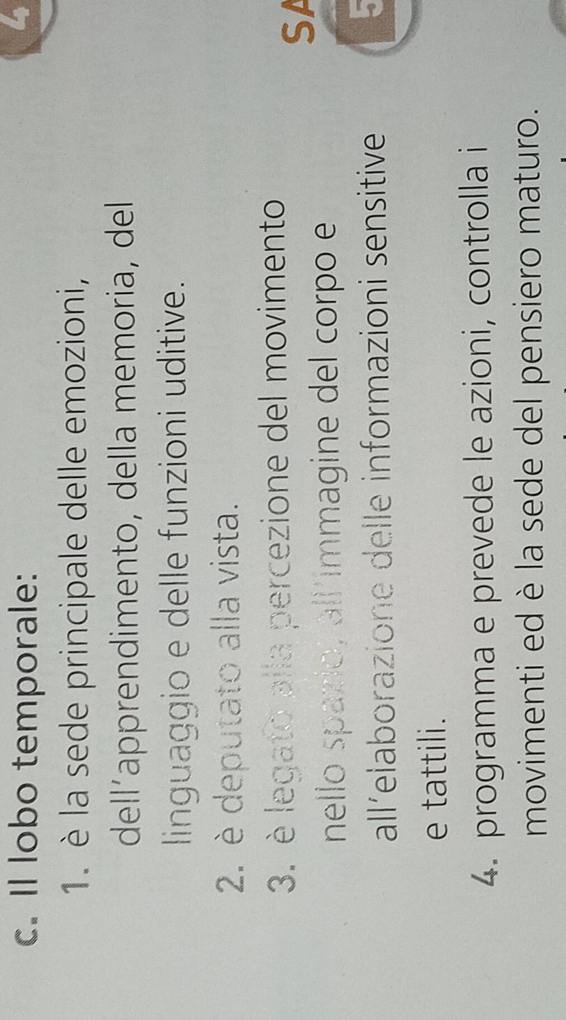 Il lobo temporale: 
1. è la sede principale delle emozioni, 
dell’apprendimento, della memoria, del 
linguaggio e delle funzioni uditive. 
2. è deputato alla vista. 
3. è legato alla percezione del movimento 
SA 
nello spazio, all´immagine del corpo e 
all´elaborazione delle informazioni sensitive 
5 
e tattili. 
4. programma e prevede le azioni, controlla i 
movimenti ed è la sede del pensiero maturo.