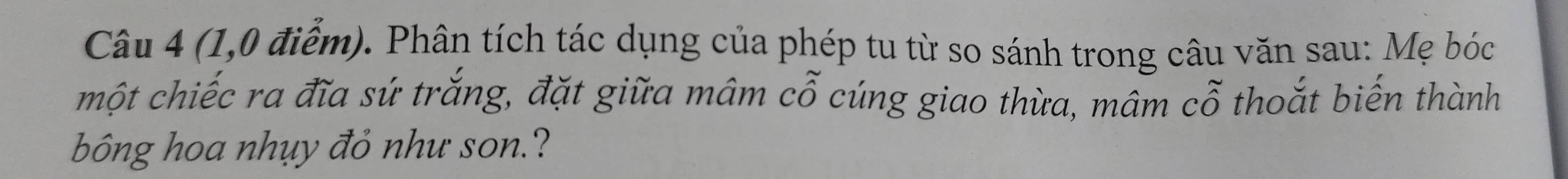 (1,0 điểm). Phân tích tác dụng của phép tu từ so sánh trong câu văn sau: Mẹ bóc 
một chiếc ra đĩa sứ trắng, đặt giữa mâm Cwidehat O cúng giao thừa, mâm cỗ thoắt biến thành 
bông hoa nhụy đỏ như son.?