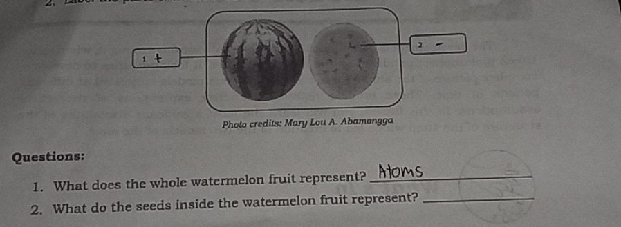 2 
1+ 
Pholo credits: Mary Lou A. Abamongga 
Questions: 
1. What does the whole watermelon fruit represent?_ 
2. What do the seeds inside the watermelon fruit represent?_