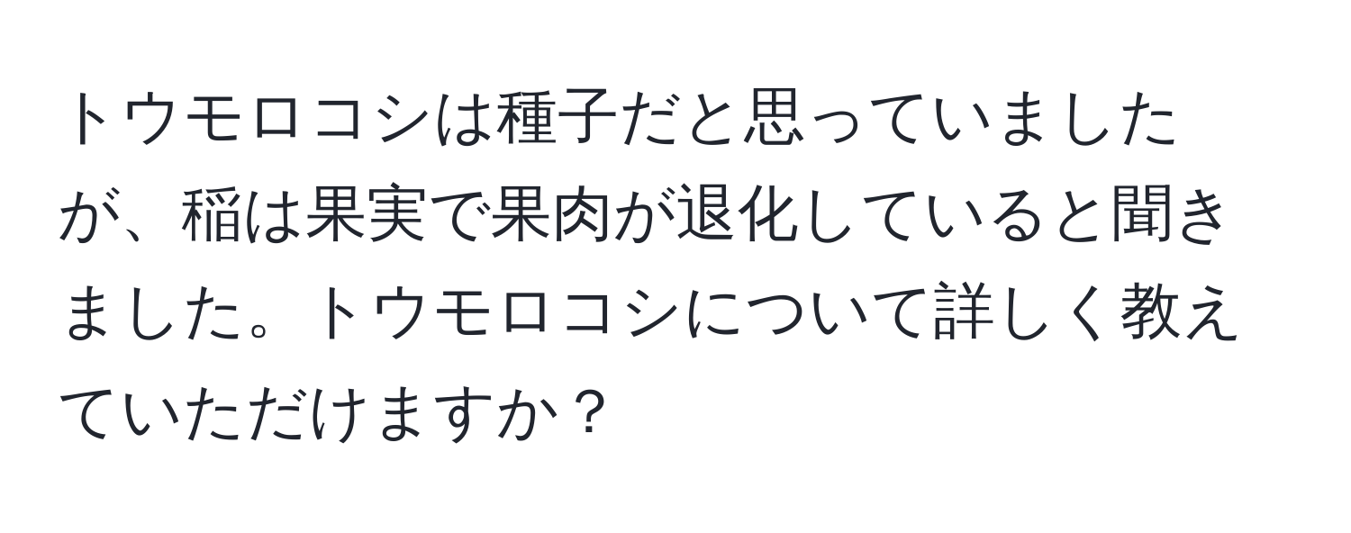 トウモロコシは種子だと思っていましたが、稲は果実で果肉が退化していると聞きました。トウモロコシについて詳しく教えていただけますか？