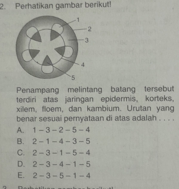 Perhatikan gambar berikut!
Penampang melintang batang tersebut
terdiri atas jaringan epidermis， korteks,
xilem, floem, dan kambium. Urutan yang
benar sesuai pernyataan di atas adalah . . . .
A. 1-3-2-5-4
B. 2-1-4-3-5
C. 2-3-1-5-4
D. 2-3-4-1-5
E. 2-3-5-1-4