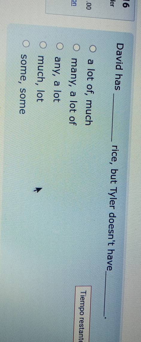 David has _rice, but Tyler doesn't have
er
_· *
.00 a lot of, much Tiempo restant
on many, a lot of
any, a lot
much, lot
some, some