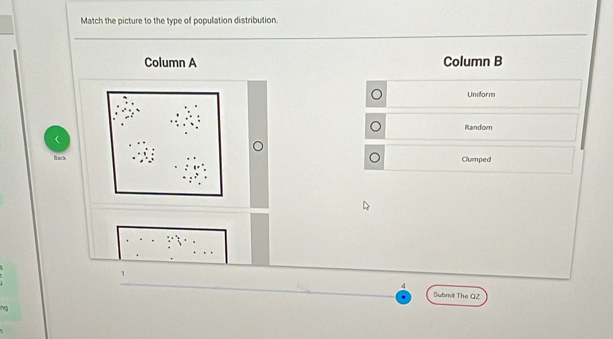 Match the picture to the type of population distribution. 
Column A Column B 
Uniform 
Random 
Back Clumped 
4 
Submit The QZ 
ng