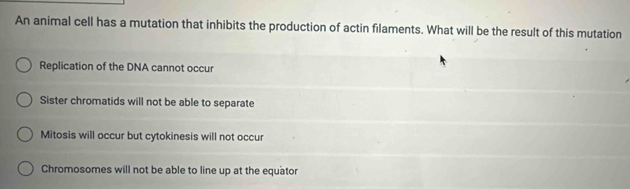 An animal cell has a mutation that inhibits the production of actin filaments. What will be the result of this mutation
Replication of the DNA cannot occur
Sister chromatids will not be able to separate
Mitosis will occur but cytokinesis will not occur
Chromosomes will not be able to line up at the equator