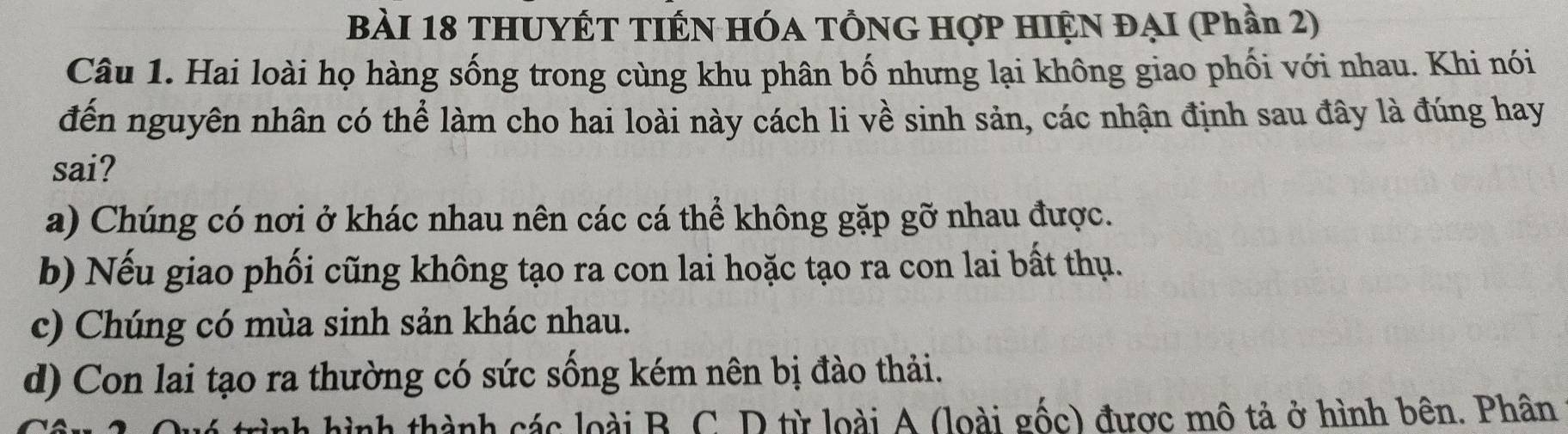 THUYÉT TIÉN HÓA TÔNG HợP HIỆN ĐẠI (Phần 2)
Câu 1. Hai loài họ hàng sống trong cùng khu phân bố nhưng lại không giao phối với nhau. Khi nói
đến nguyên nhân có thể làm cho hai loài này cách li về sinh sản, các nhận định sau đây là đúng hay
sai?
a) Chúng có nơi ở khác nhau nên các cá thể không gặp gỡ nhau được.
b) Nếu giao phối cũng không tạo ra con lai hoặc tạo ra con lai bất thụ.
c) Chúng có mùa sinh sản khác nhau.
d) Con lai tạo ra thường có sức sống kém nên bị đào thải.
nh thành các loài B C. D từ loài A (loài gốc) được mô tả ở hình bên. Phân