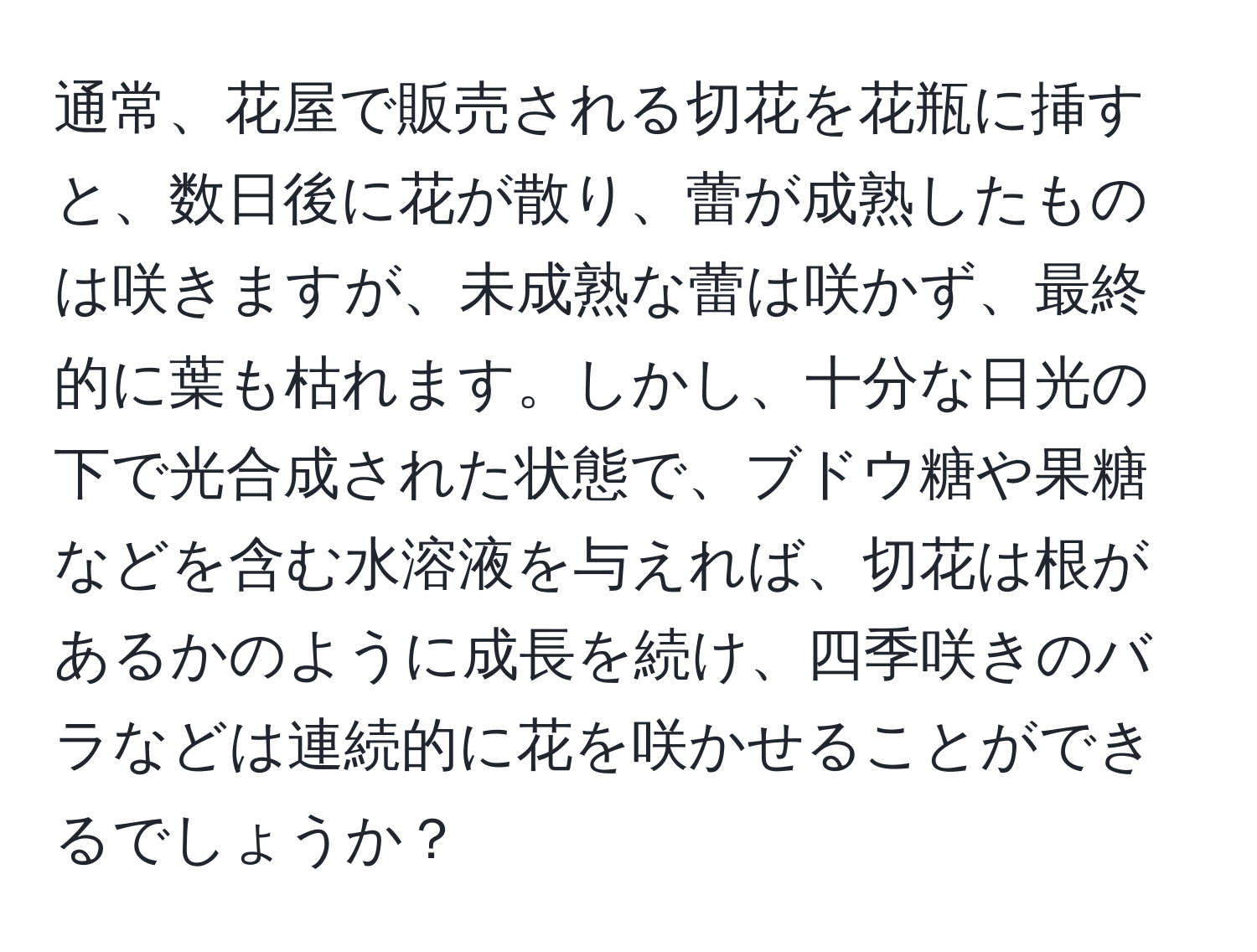 通常、花屋で販売される切花を花瓶に挿すと、数日後に花が散り、蕾が成熟したものは咲きますが、未成熟な蕾は咲かず、最終的に葉も枯れます。しかし、十分な日光の下で光合成された状態で、ブドウ糖や果糖などを含む水溶液を与えれば、切花は根があるかのように成長を続け、四季咲きのバラなどは連続的に花を咲かせることができるでしょうか？