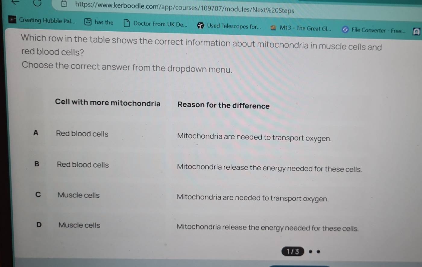 Creating Hubble Pal... has the Doctor From UK De... Used Telescopes for... M13 - The Great Gl... File Converter - Free...
Which row in the table shows the correct information about mitochondria in muscle cells and
red blood cells?
Choose the correct answer from the dropdown menu.
Cell with more mitochondria Reason for the difference
A Red blood cells Mitochondria are needed to transport oxygen.
B Red blood cells Mitochondria release the energy needed for these cells.
C Muscle cells Mitochondria are needed to transport oxygen.
D Muscle cells Mitochondria release the energy needed for these cells.
173